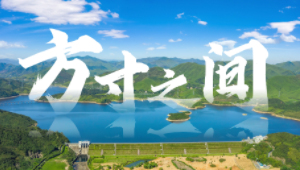 91932ca5702440278993e5f516302a74