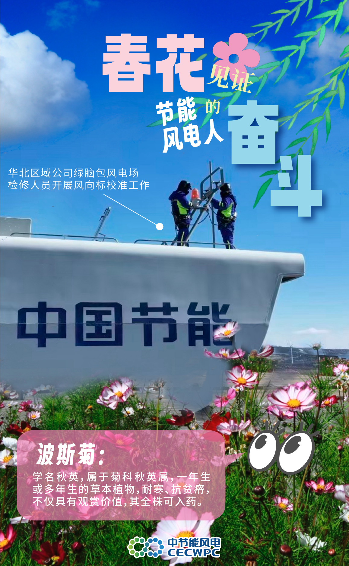 509ae9551c224fc7bb7133f99e9a6a53