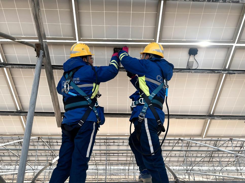 ���g22 - ������� -- ÿ���о�ϲ