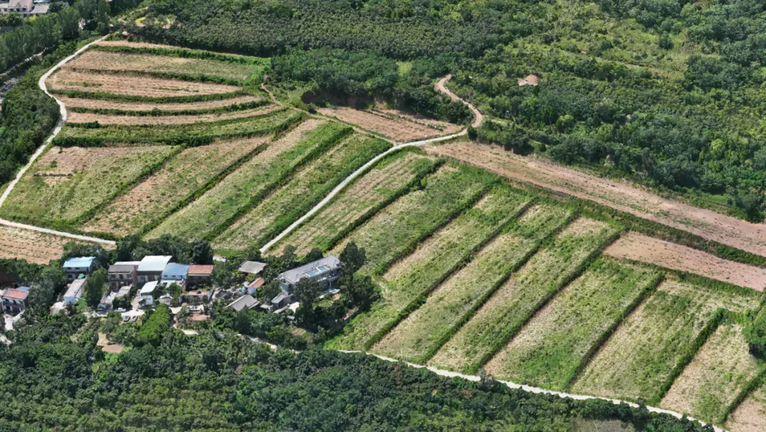 恒峰g22 - 官网入口 -- 每天有惊喜