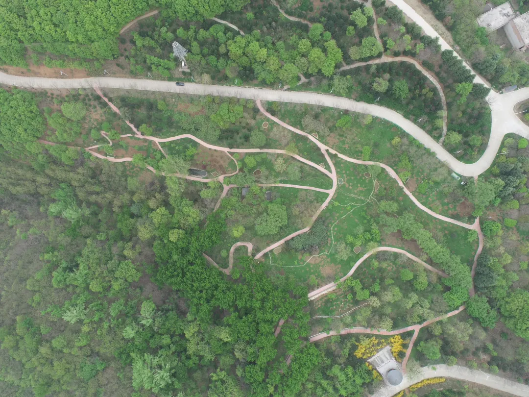 恒峰g22 - 官网入口 -- 每天有惊喜