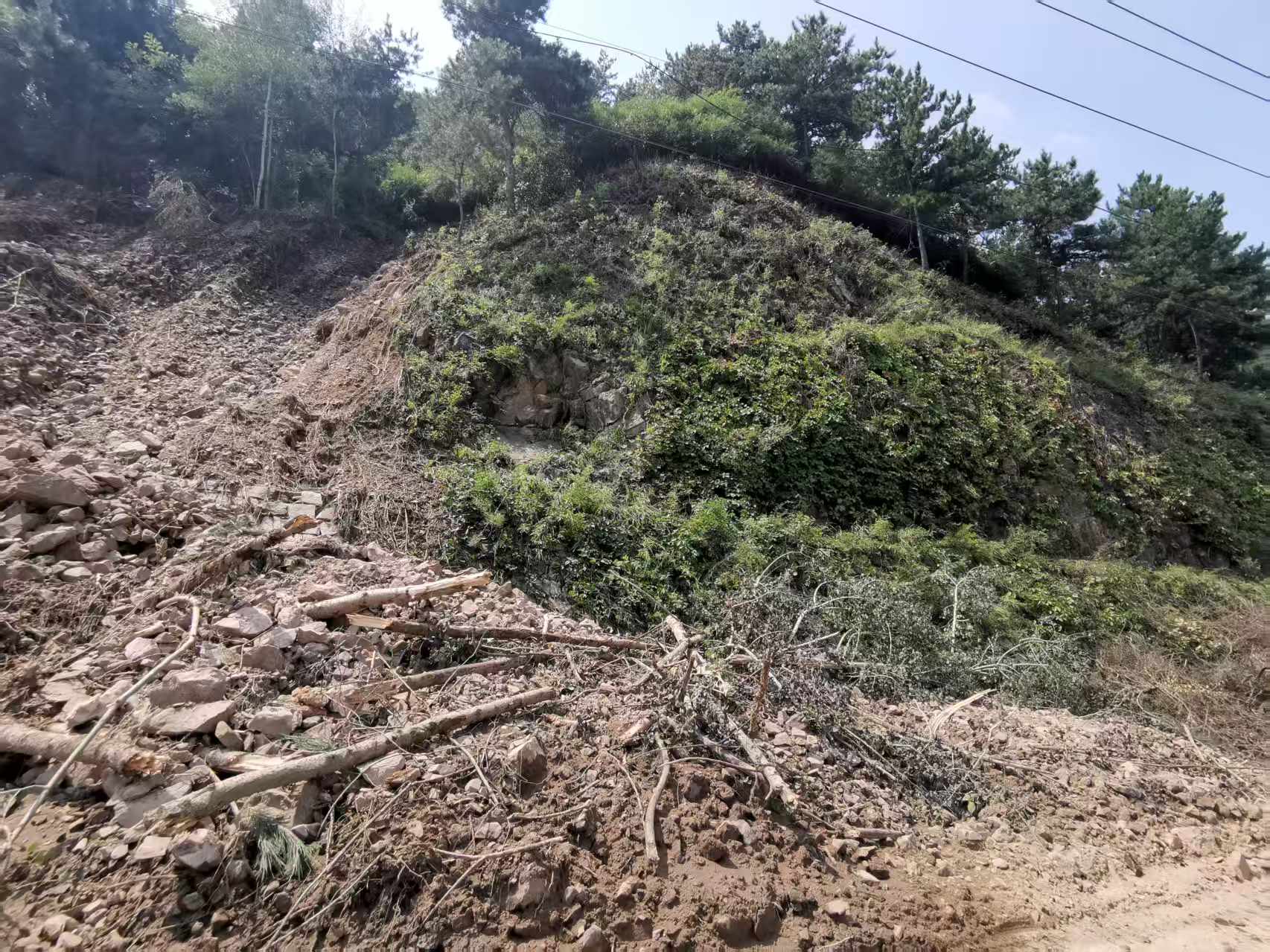 ���g22 - ������� -- ÿ���о�ϲ