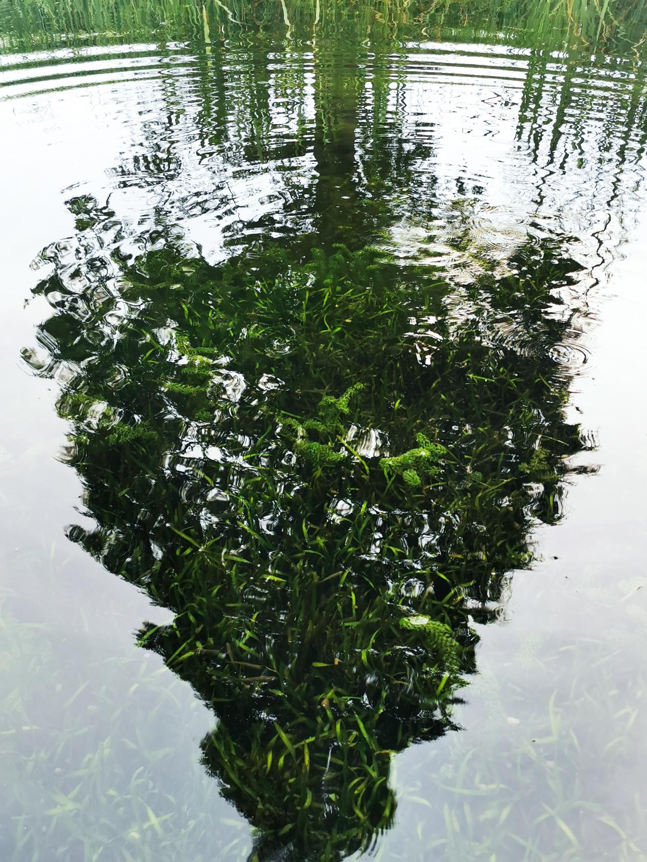 ���g22 - ������� -- ÿ���о�ϲ