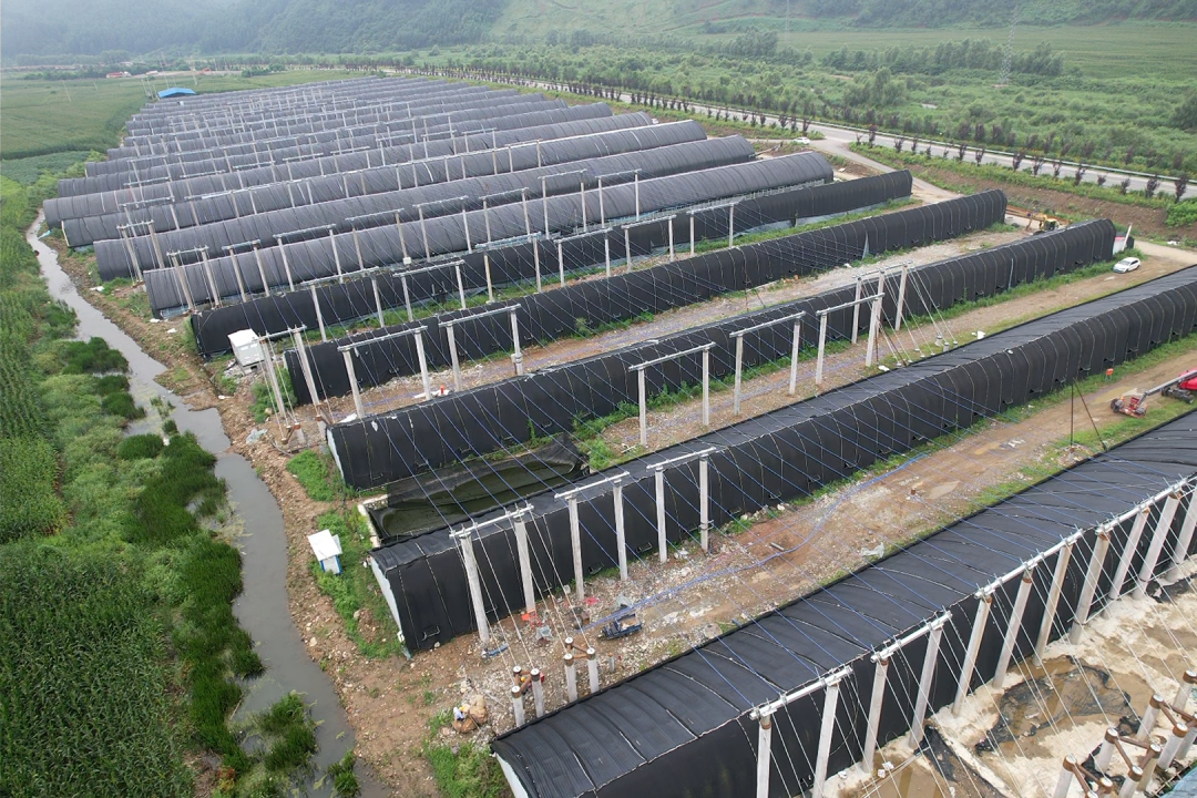 ���g22 - ������� -- ÿ���о�ϲ