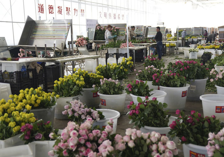 14327601963036835845