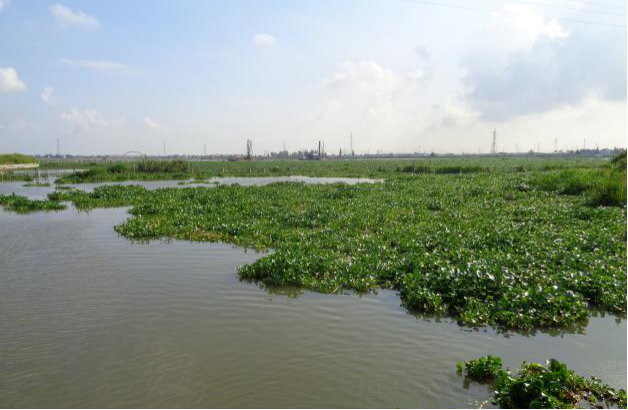 恒峰g22 - 官网入口 -- 每天有惊喜