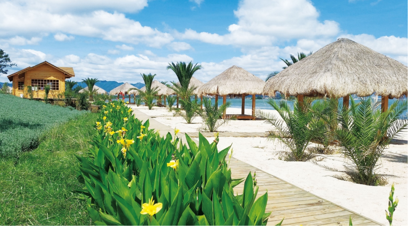 云南滇池环湖生态经济试验区湖泊湿地综合治理