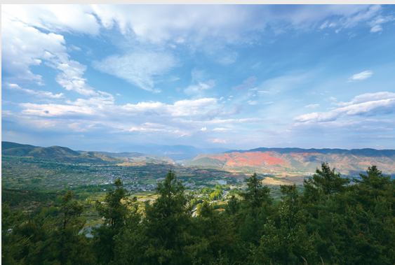 abd8dfb42a384a538a34d76455caf171