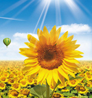 恒峰g22 - 官网入口 -- 每天有惊喜