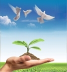 恒峰g22 - 官网入口 -- 每天有惊喜