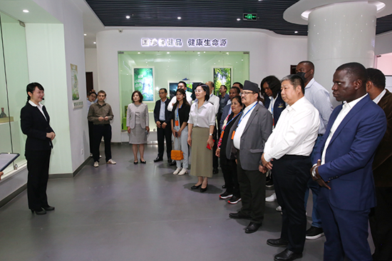 48783312a0f944cda73201c1d890195a